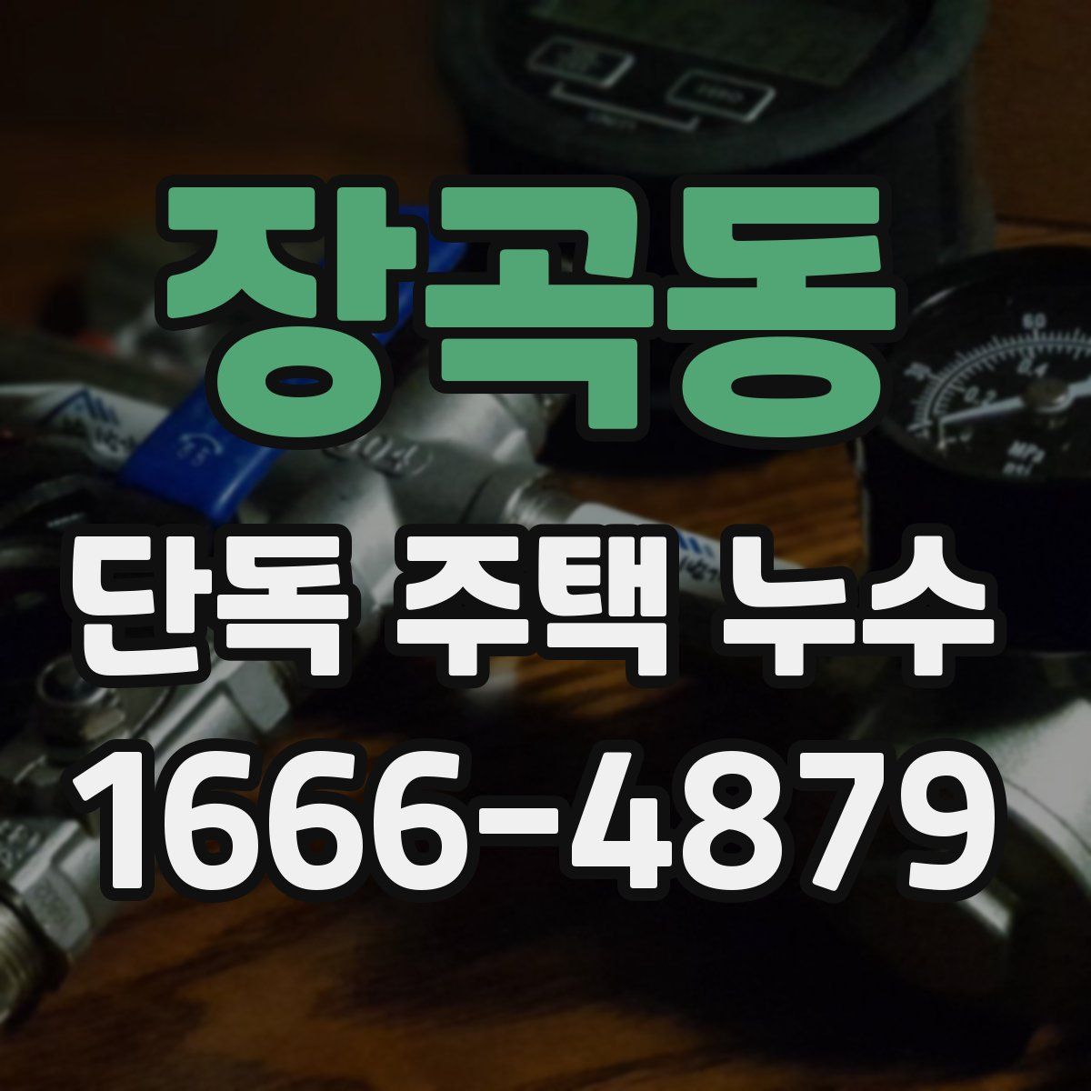 장곡동 단독 주택 누수