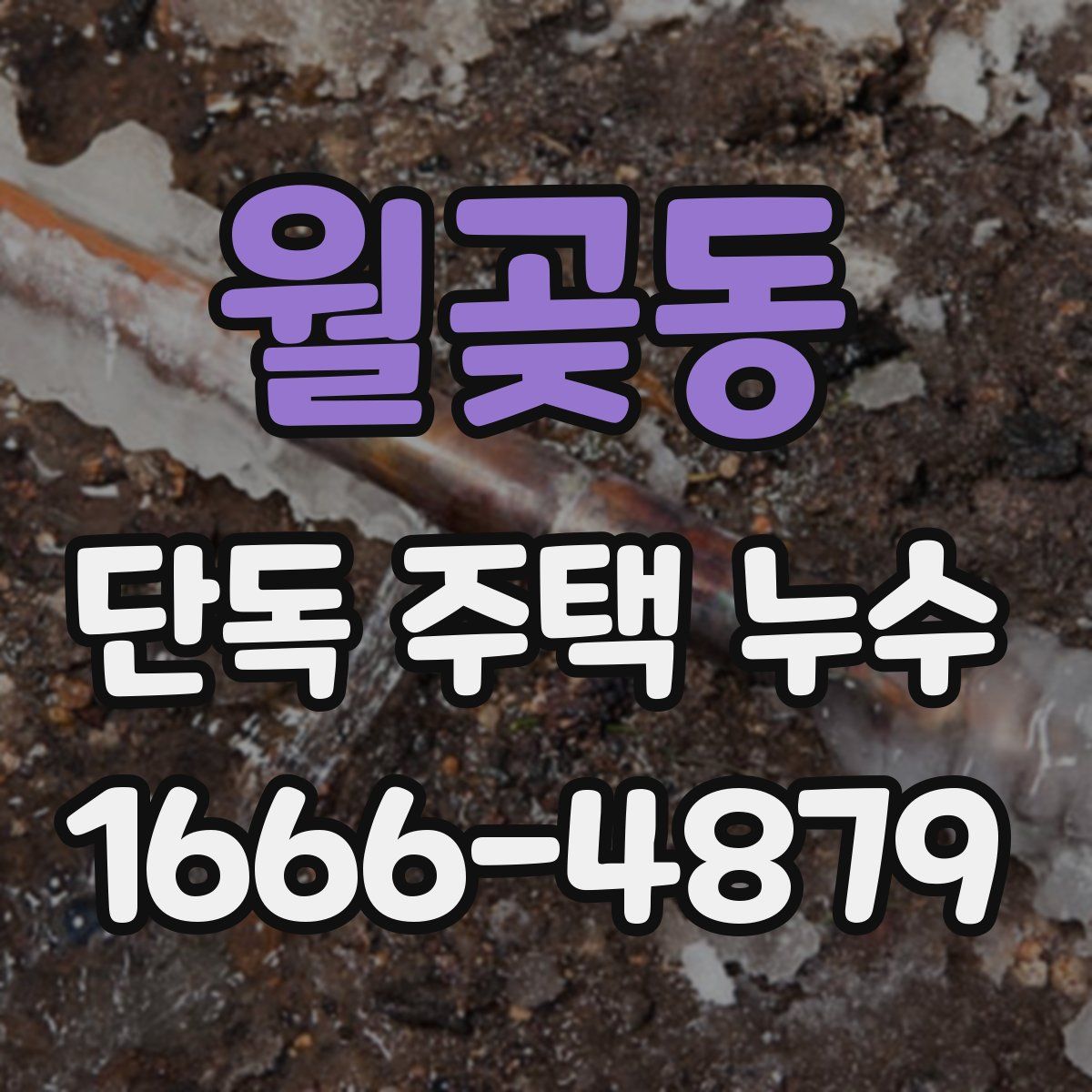 월곶동 단독 주택 누수