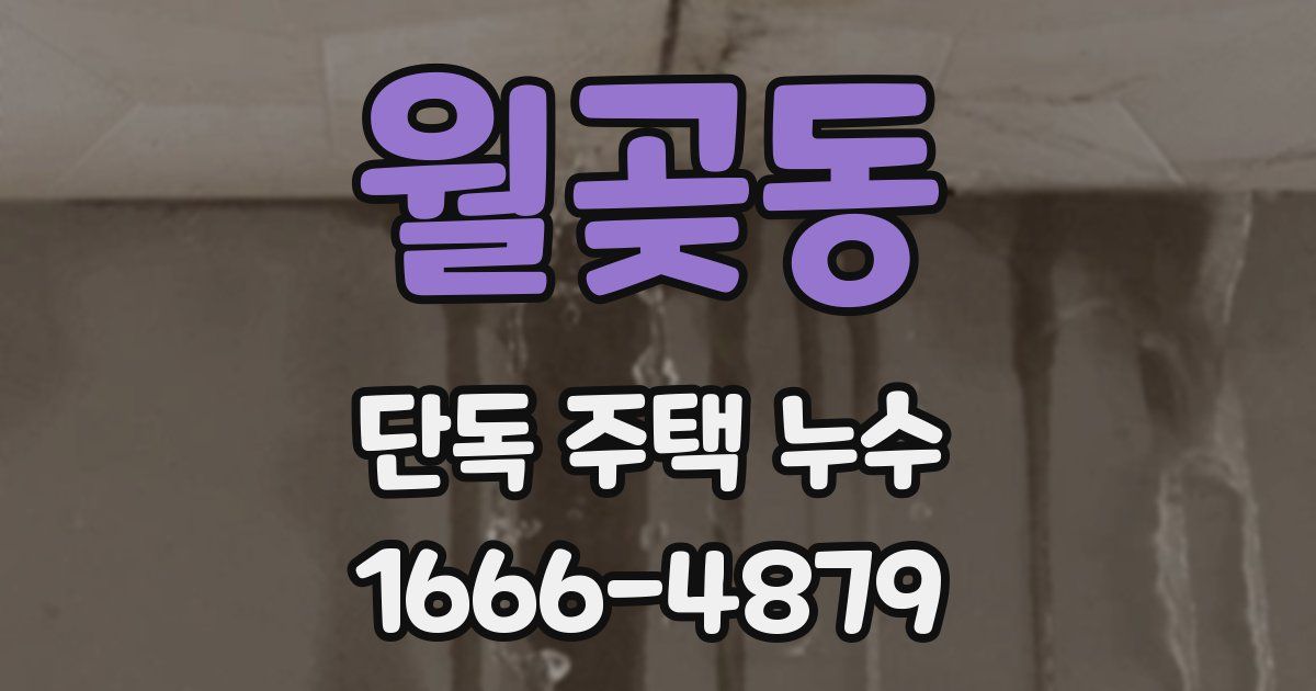 월곶동 단독 주택 누수
