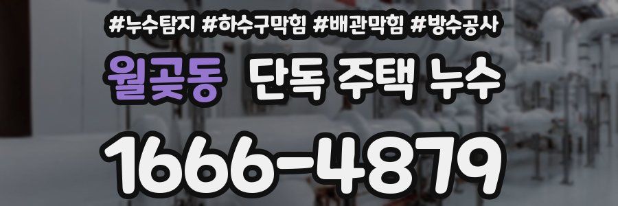 월곶동 단독 주택 누수