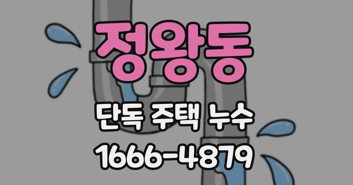 정왕동 단독 주택 누수