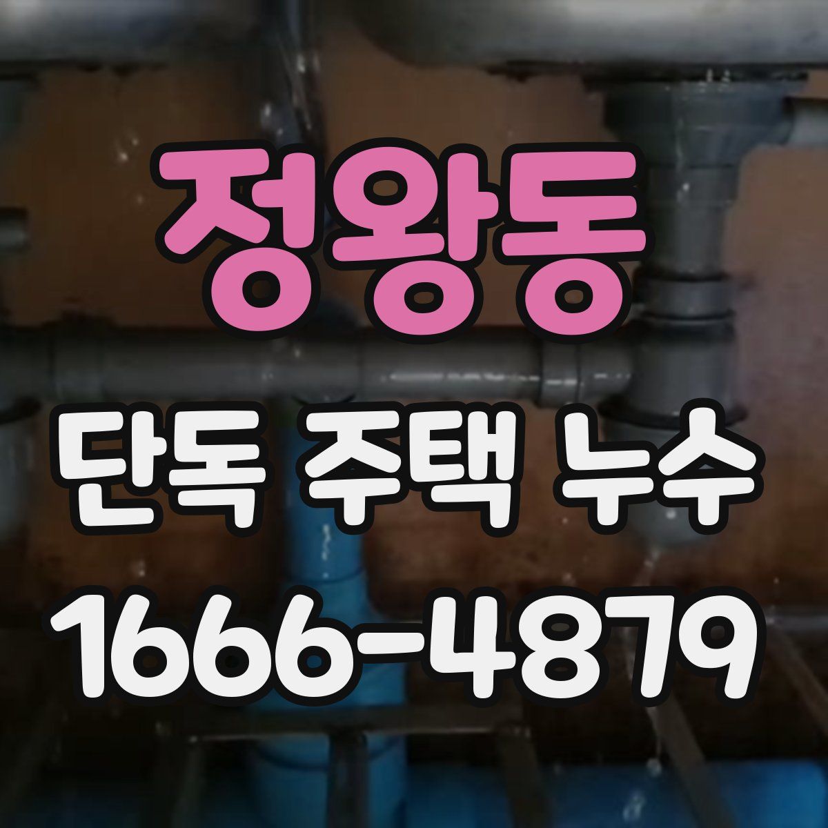 정왕동 단독 주택 누수