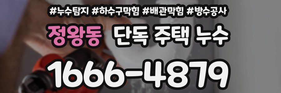 정왕동 단독 주택 누수