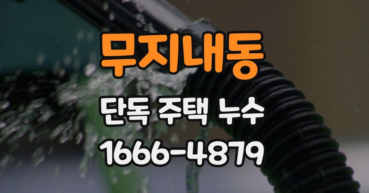 무지내동 단독 주택 누수