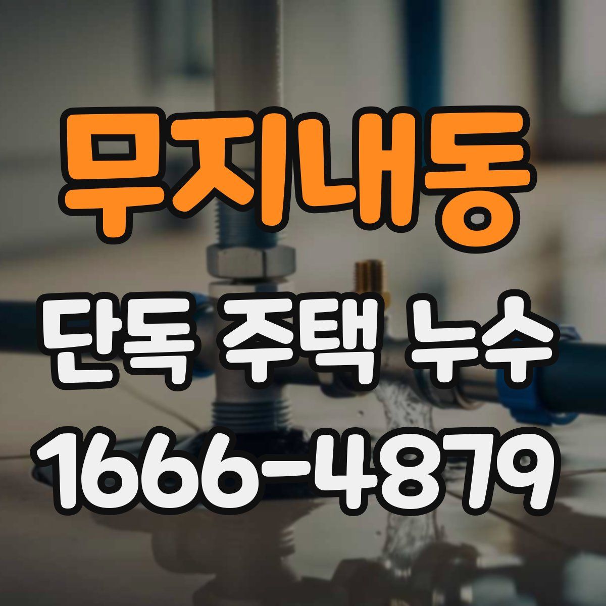 무지내동 단독 주택 누수