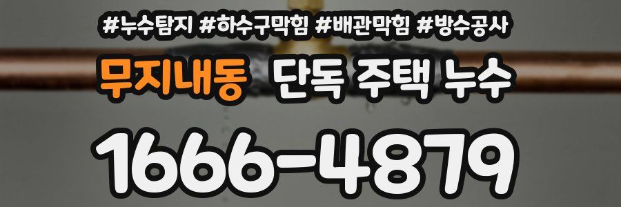 무지내동 단독 주택 누수