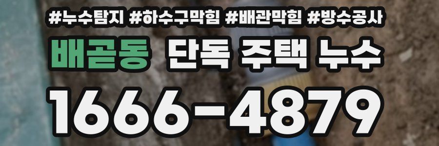 배곧동 단독 주택 누수