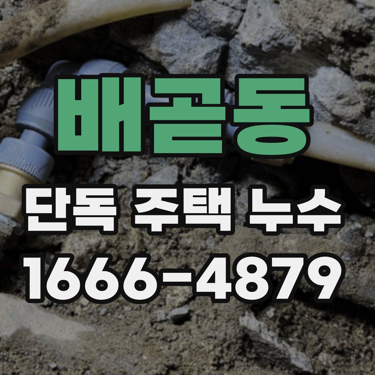 배곧동 단독 주택 누수
