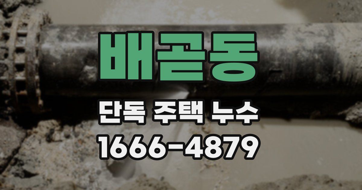 배곧동 단독 주택 누수