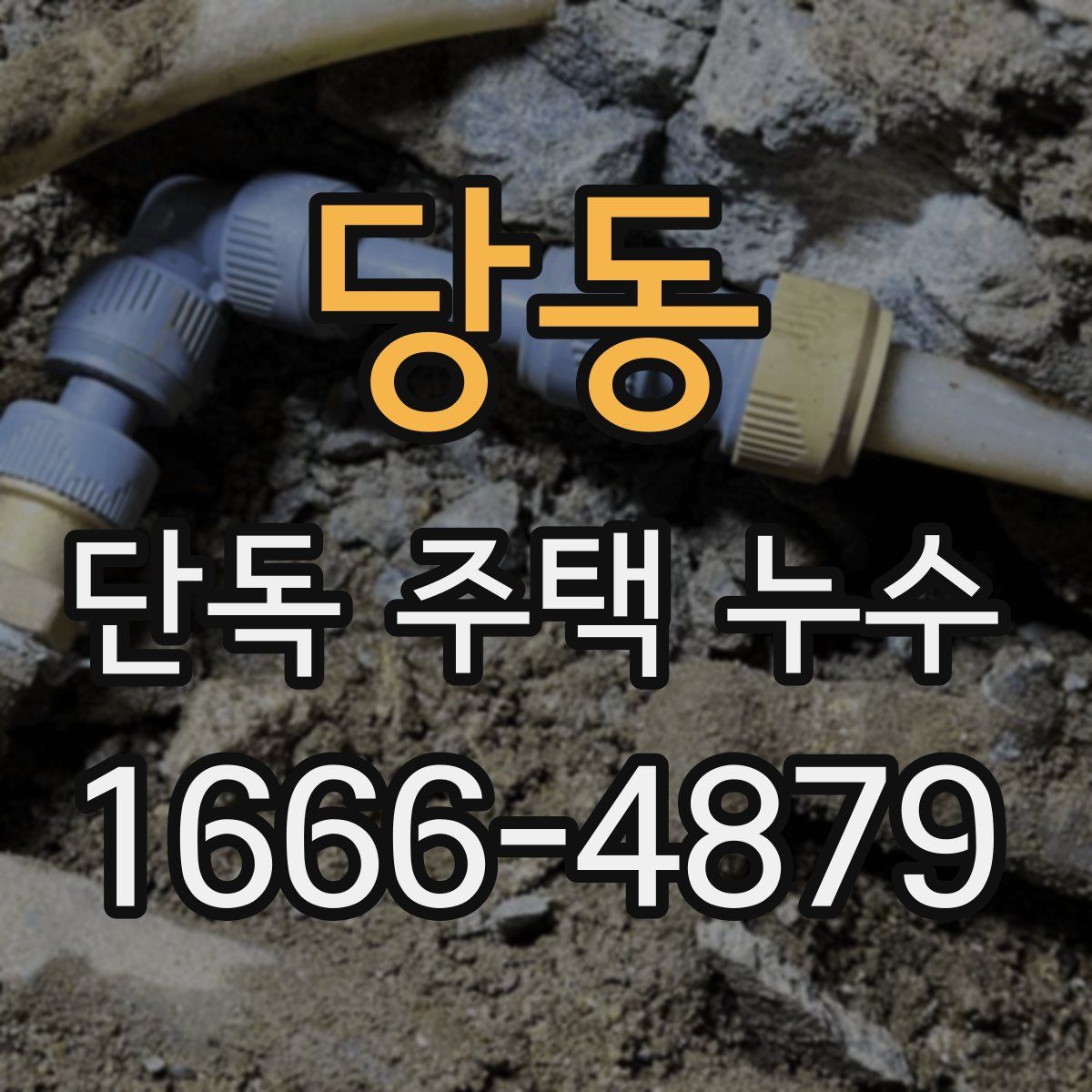 당동 단독 주택 누수