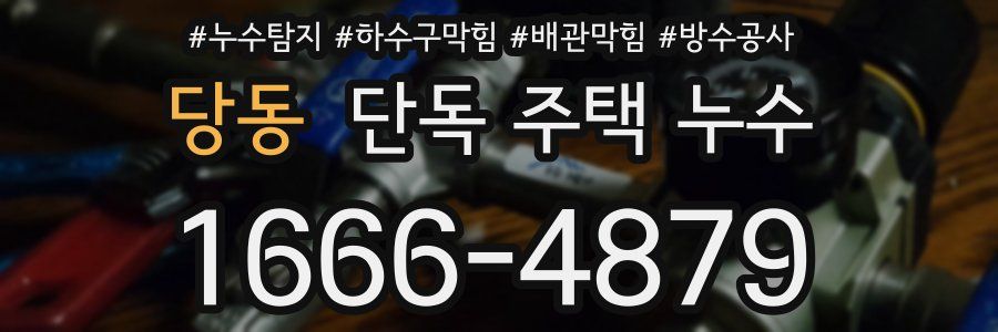 당동 단독 주택 누수