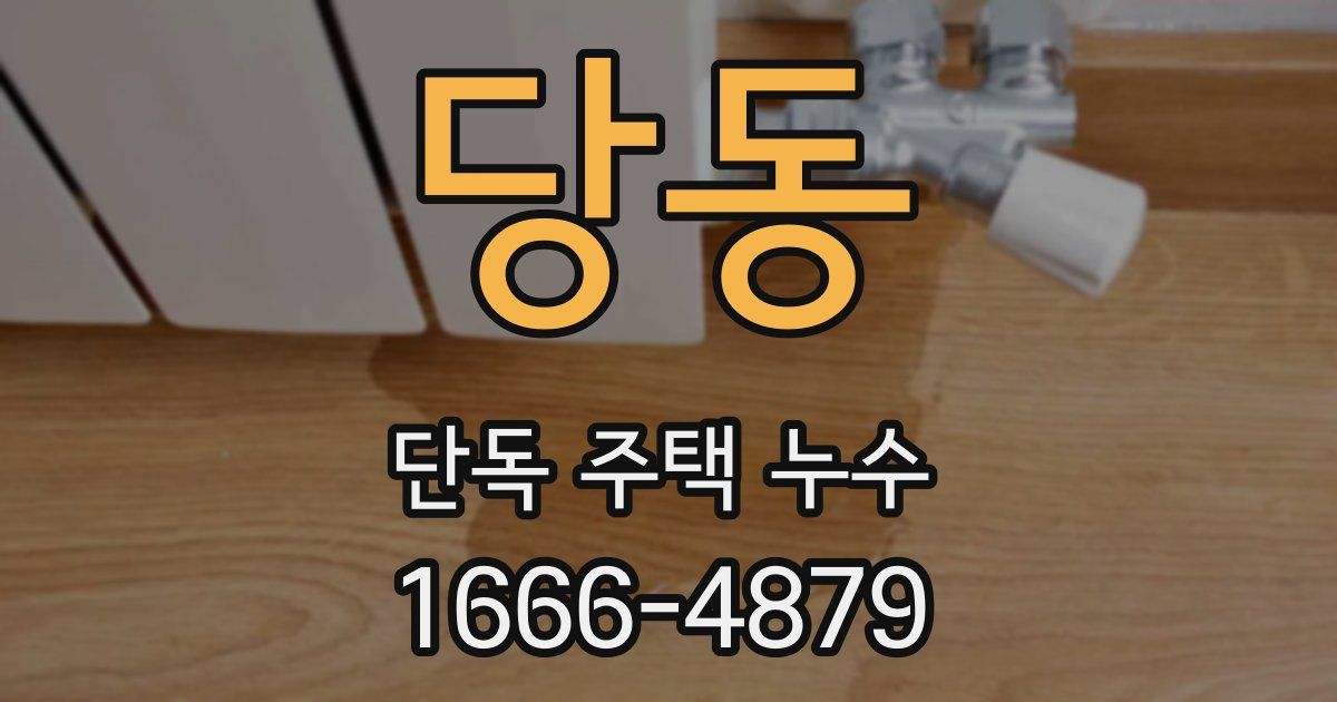 당동 단독 주택 누수