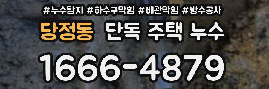 당정동 단독 주택 누수