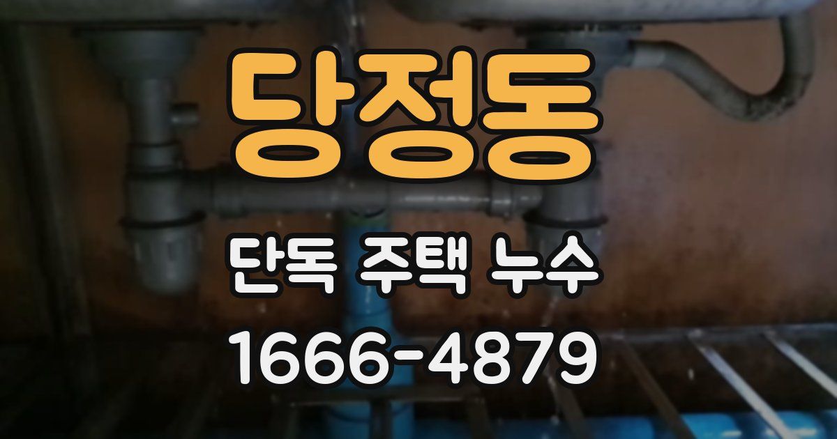 당정동 단독 주택 누수