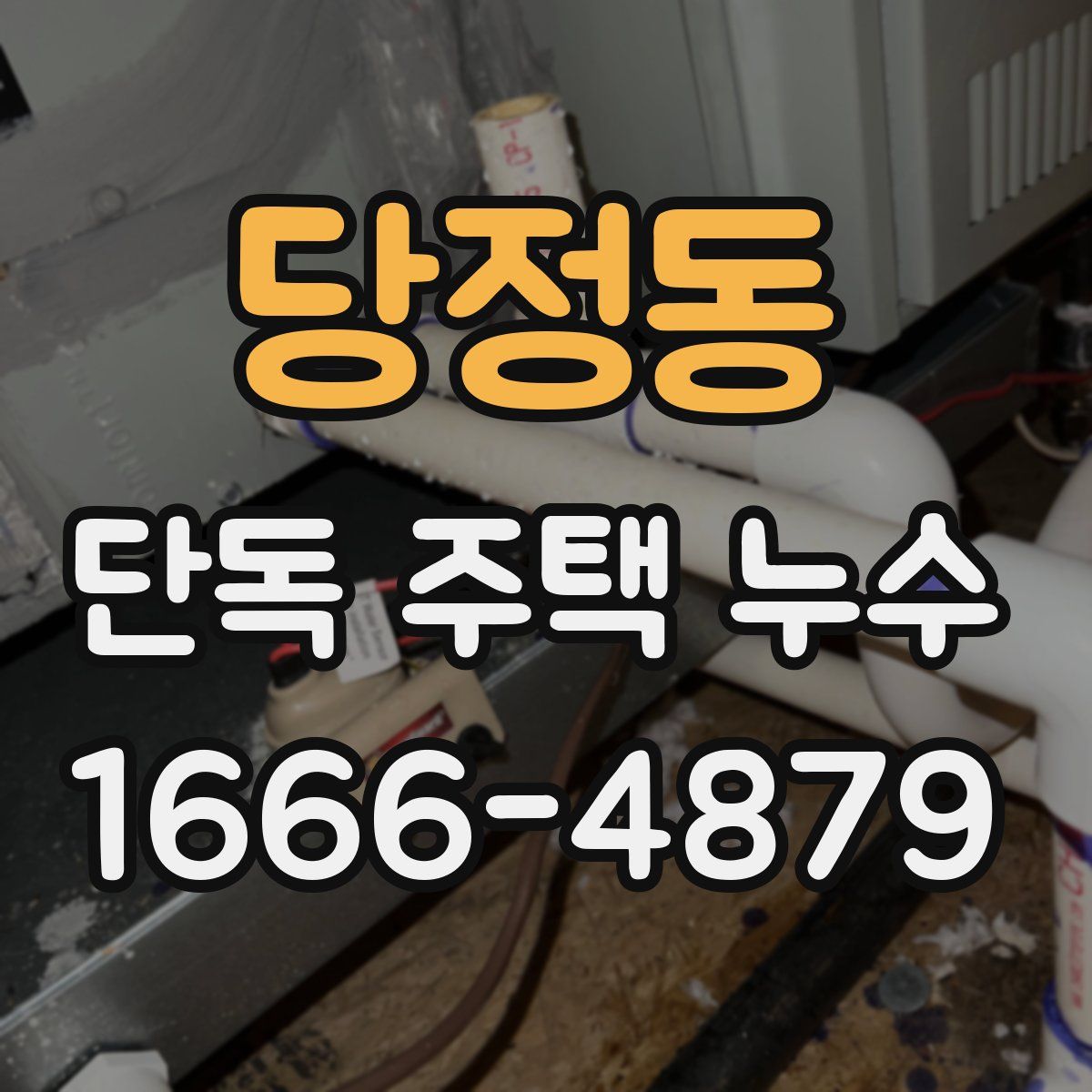 당정동 단독 주택 누수