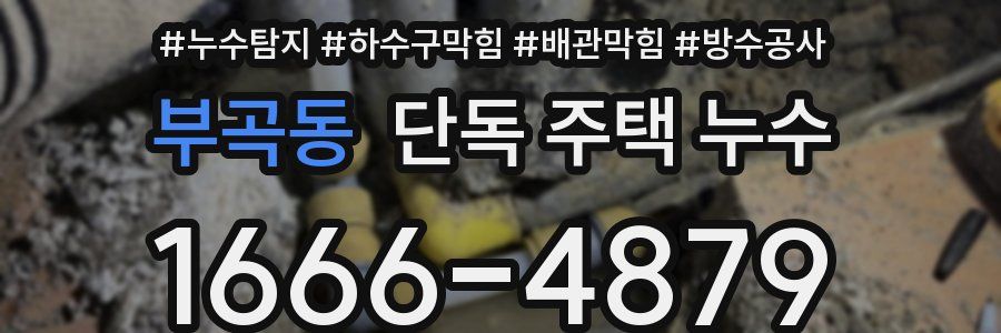 부곡동 단독 주택 누수