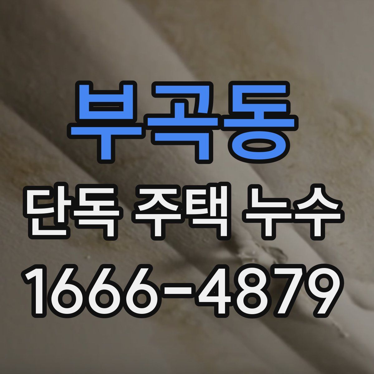 부곡동 단독 주택 누수