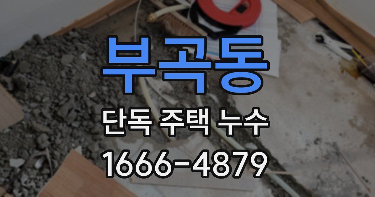 부곡동 단독 주택 누수