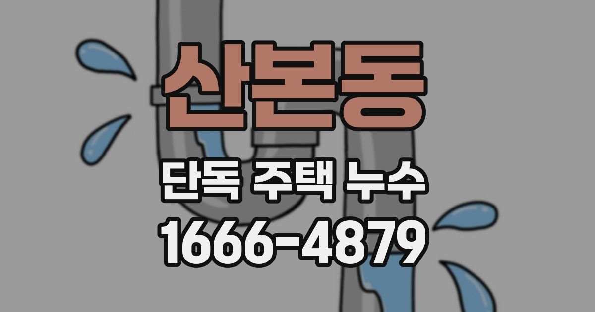 산본동 단독 주택 누수