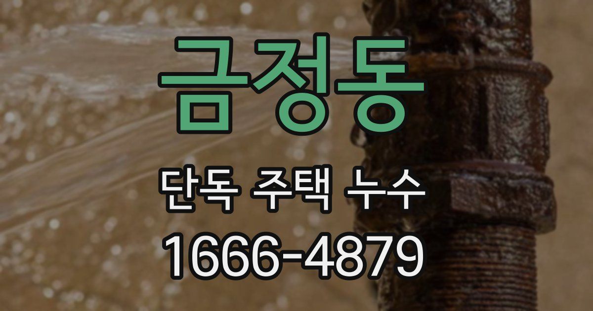금정동 단독 주택 누수