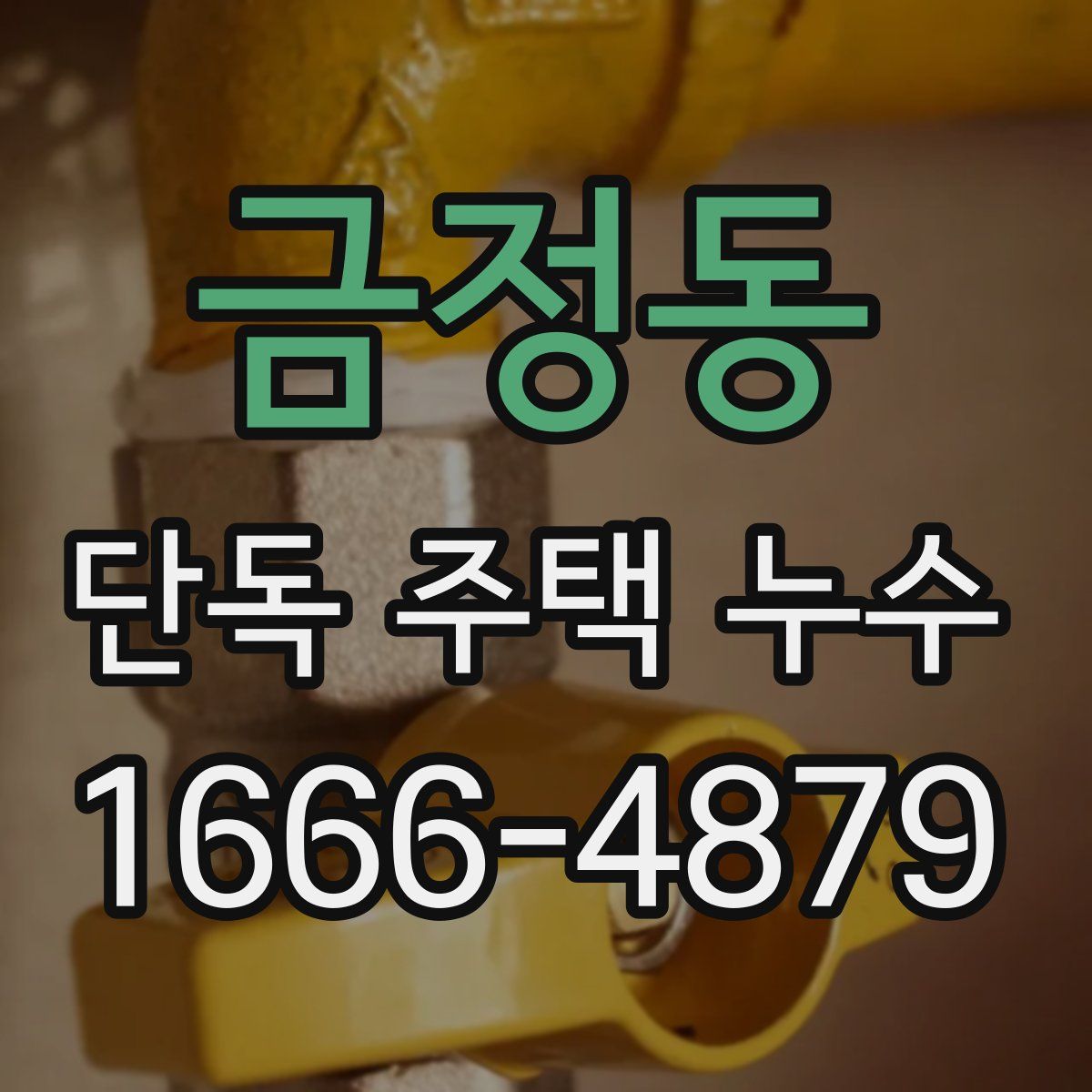 금정동 단독 주택 누수