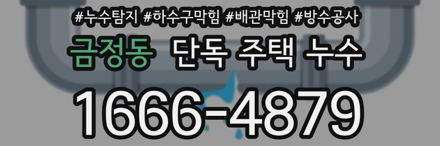 금정동 단독 주택 누수
