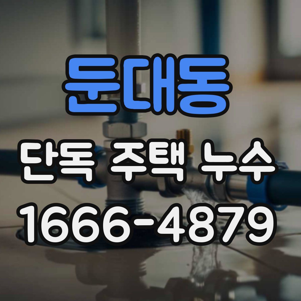 둔대동 단독 주택 누수