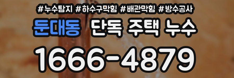 둔대동 단독 주택 누수
