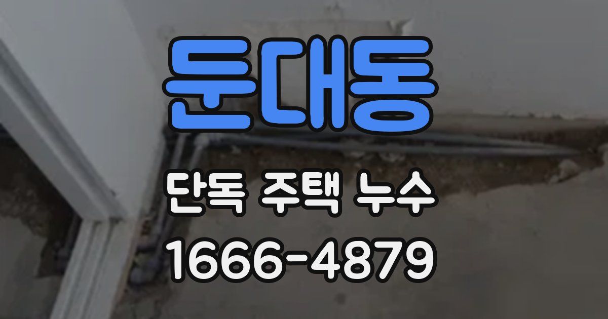 둔대동 단독 주택 누수