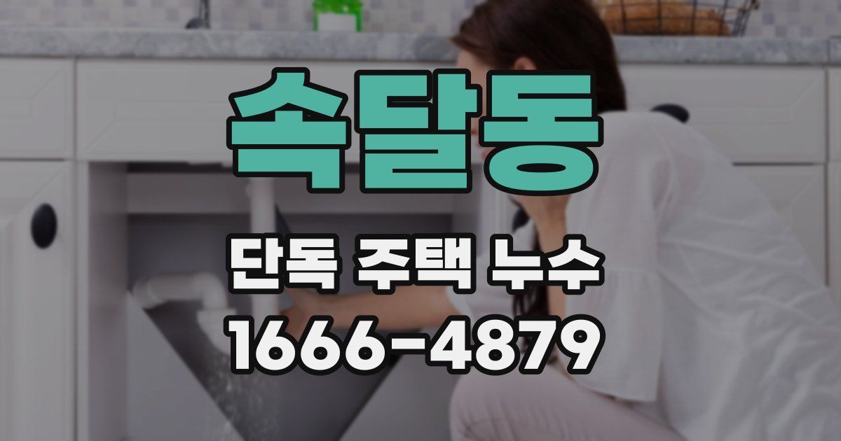 속달동 단독 주택 누수
