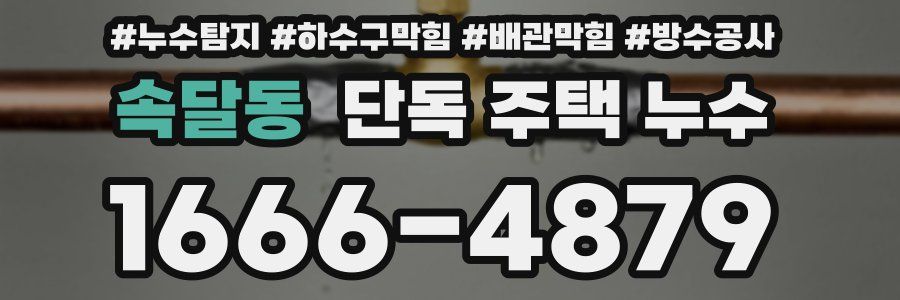 속달동 단독 주택 누수