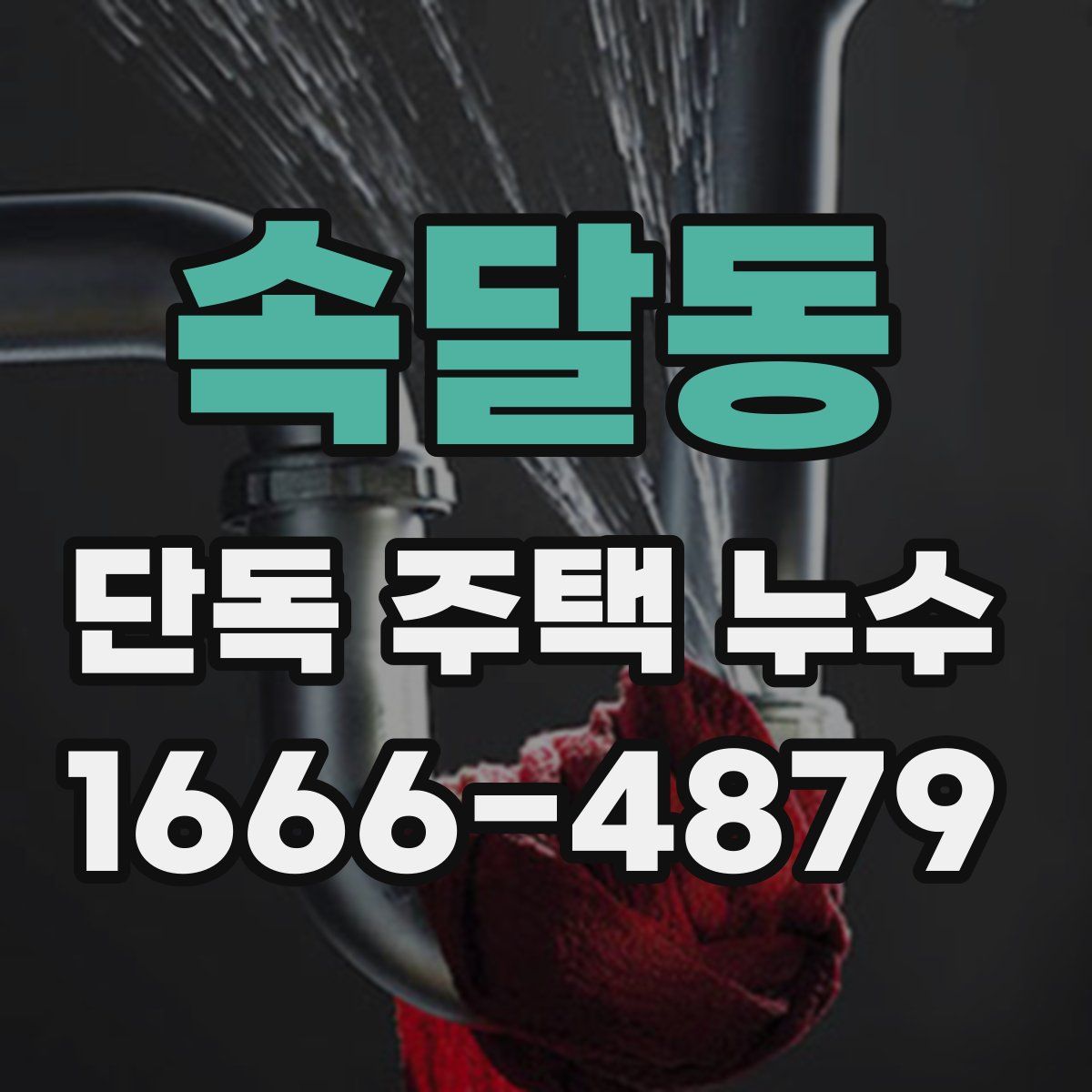 속달동 단독 주택 누수