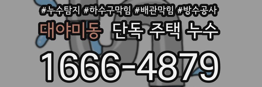 대야미동 단독 주택 누수