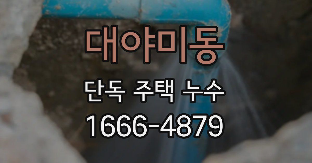 대야미동 단독 주택 누수