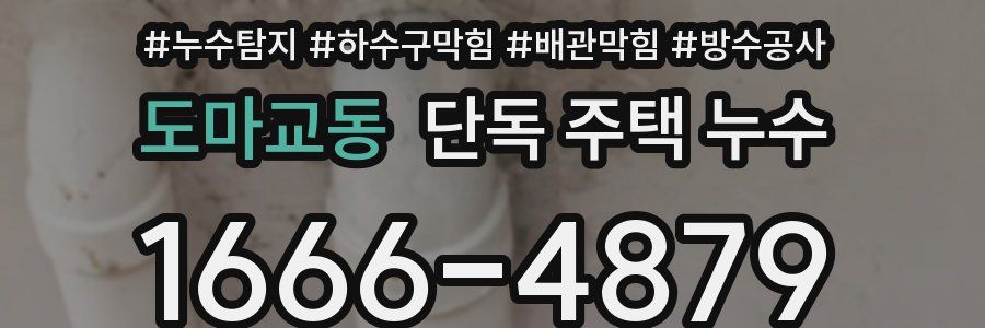 도마교동 단독 주택 누수