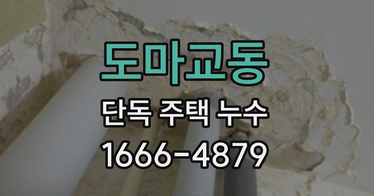 도마교동 단독 주택 누수