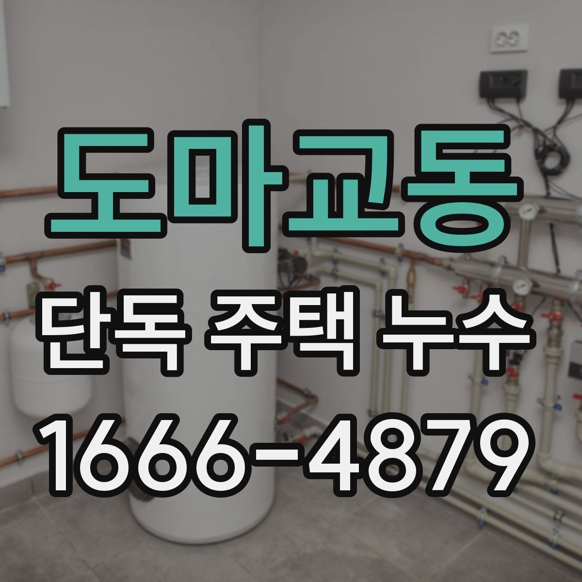 도마교동 단독 주택 누수