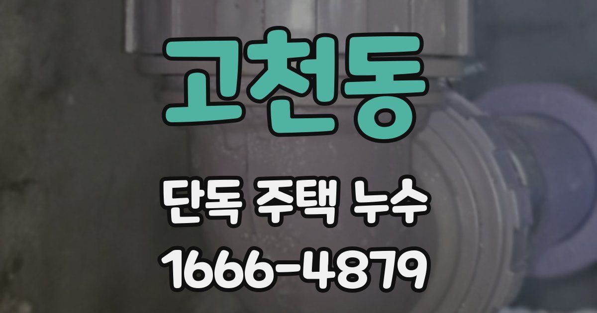 고천동 단독 주택 누수