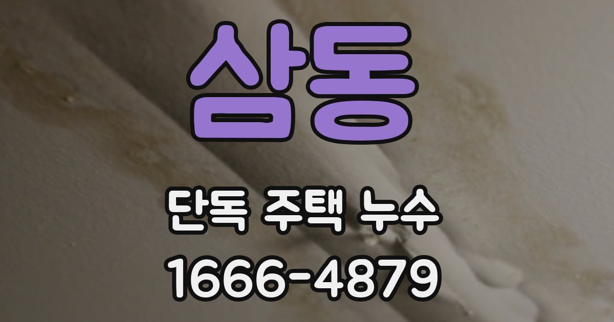 삼동 단독 주택 누수