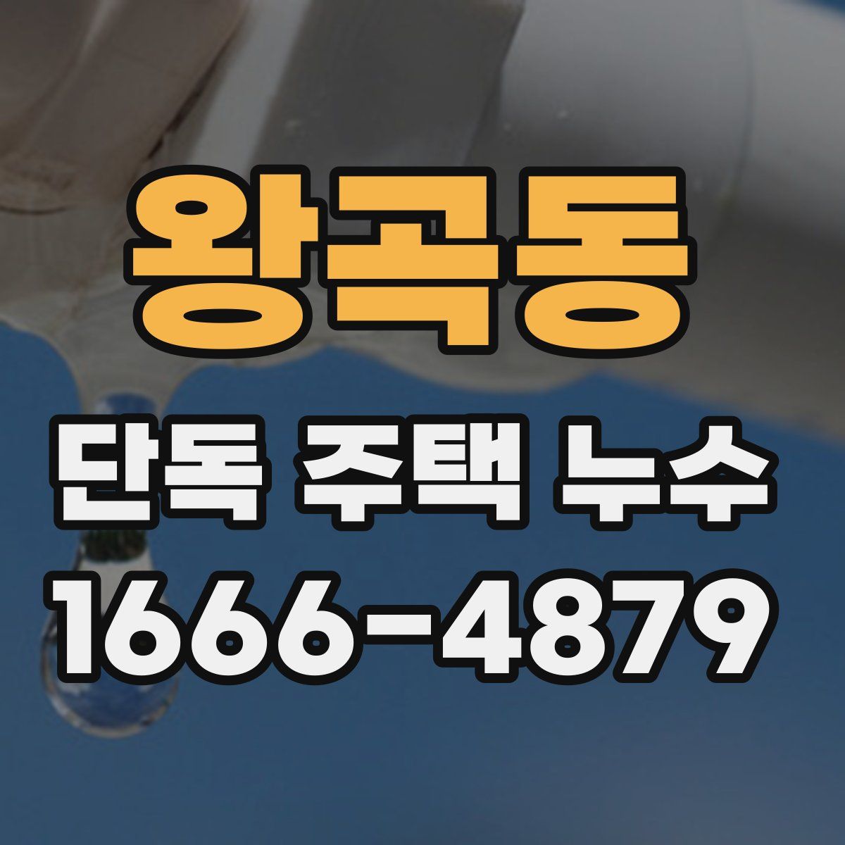 왕곡동 단독 주택 누수