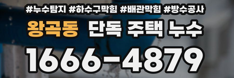 왕곡동 단독 주택 누수