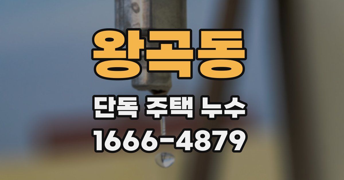 왕곡동 단독 주택 누수