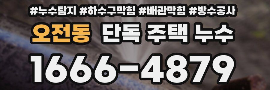 오전동 단독 주택 누수
