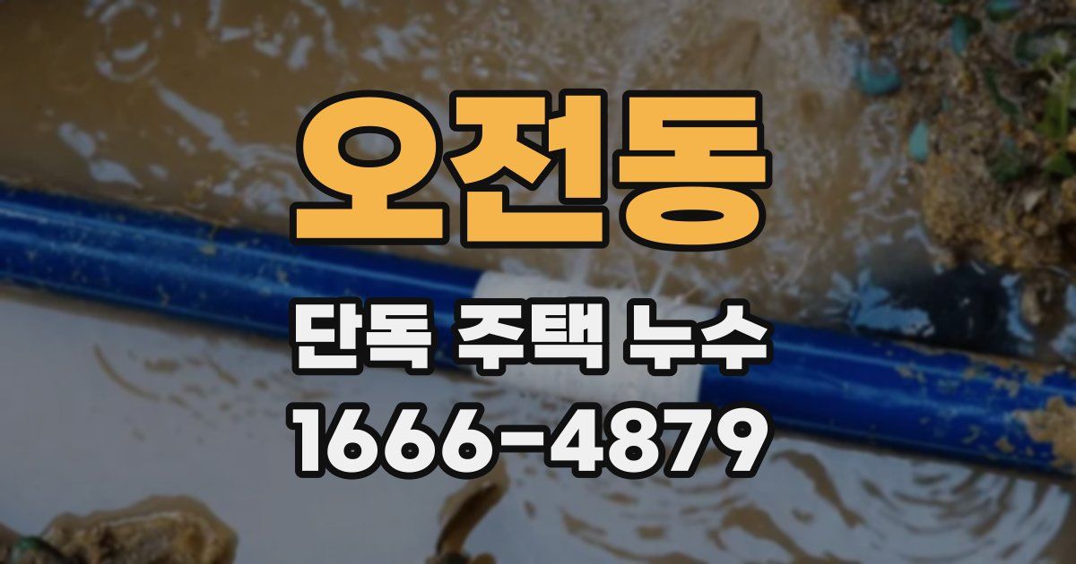 오전동 단독 주택 누수