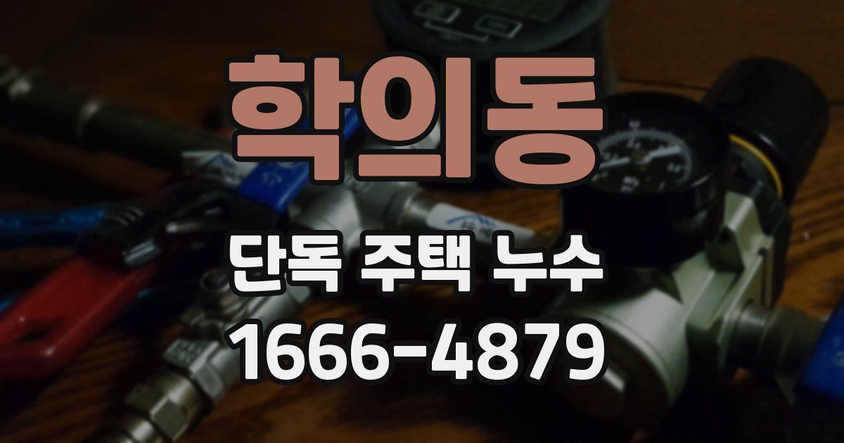 학의동 단독 주택 누수