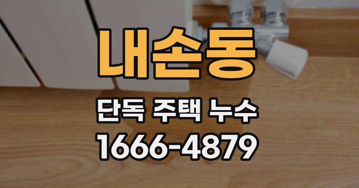 내손동 단독 주택 누수
