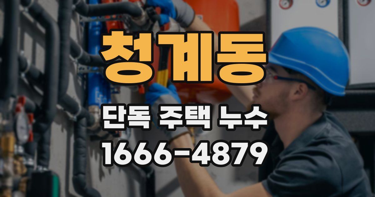 청계동 단독 주택 누수