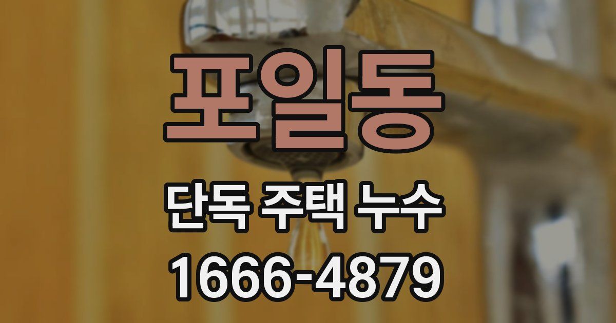 포일동 단독 주택 누수