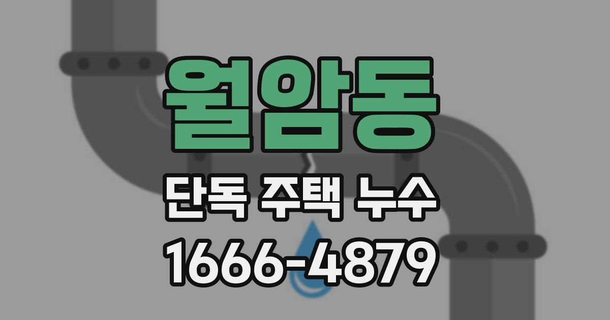 월암동 단독 주택 누수