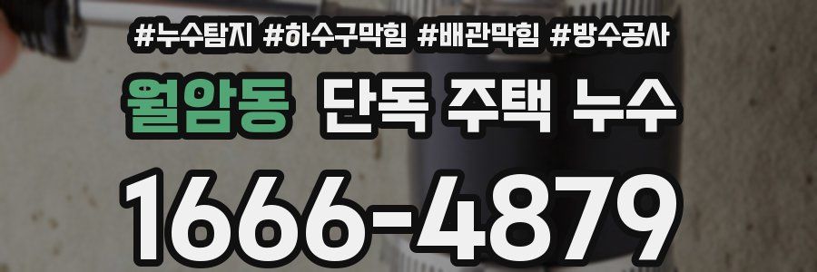 월암동 단독 주택 누수